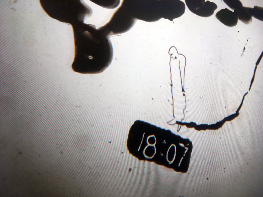 IMG-5700web.jpg
